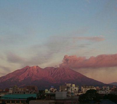 ManabuNipon's profile picture. 自然が好きです。かごんまのいいね❗と、旨し❗を、共有して2020年の国体で、沢山の人に来て欲しいです(*^^*)