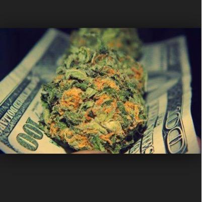 Gamer #Fighting #Shooting #Horror. Livestreamer #Twitch. Youtuber. Stoner. The great things in life are #420influenced