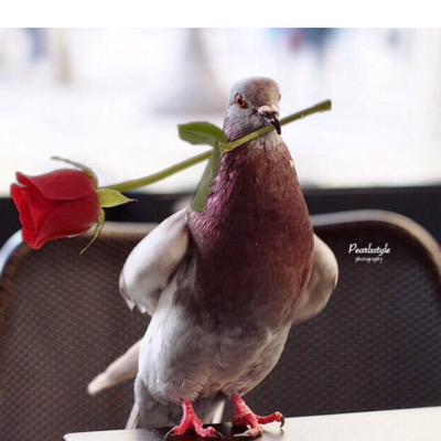 وتولني فيمن توليت 💞