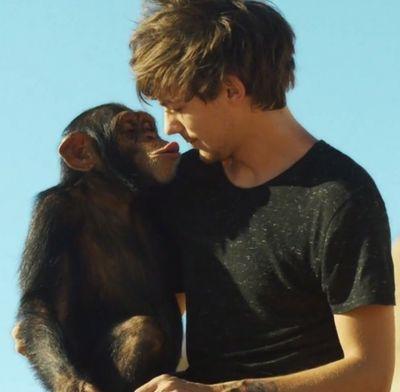 ×Treat yourself the way Louis Tomlinson would treat you× 5/5 + 3 beautiful girls! [Sophelerrie]