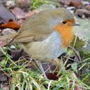 Jack Ewen - @JackEwenPhotos - Twitter