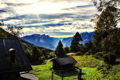 jumacollins82's profile picture. 