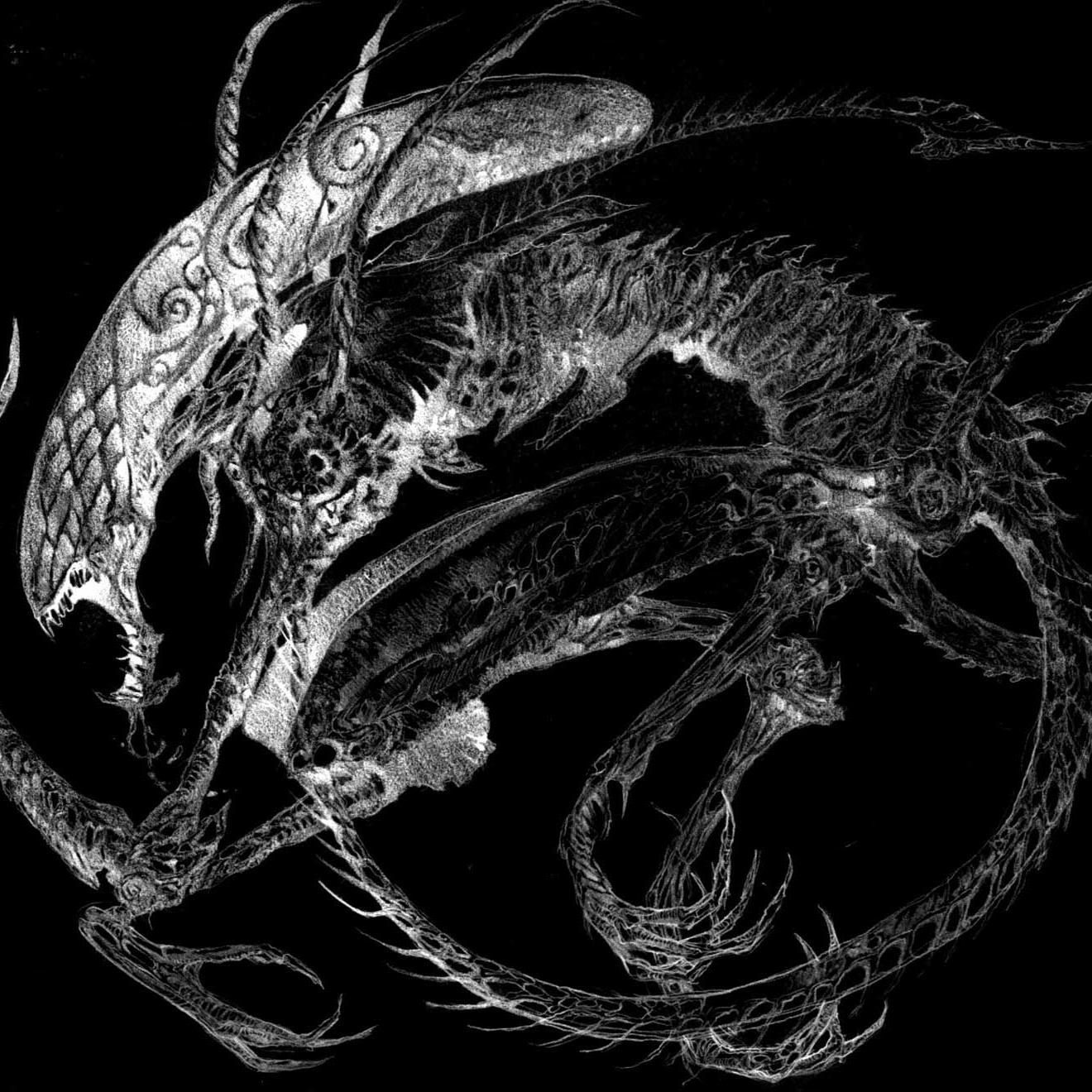 stalkingturnip's profile picture. 