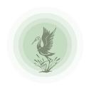 Jade Sun Tai Chi - @JadeSunTaiChi - Twitter