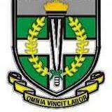 Judeatterjunior's profile picture. 