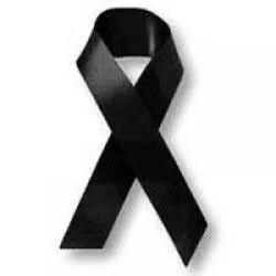 ErayBarak's profile picture. 