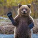 Andy Burt - @andrburt - Twitter