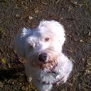 derek abel - @Doktor17 - Twitter