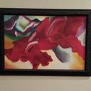 Joni Stuart - @jonibug1994 - Twitter