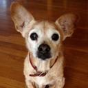 Kirk Swan - @kswan2 - Twitter