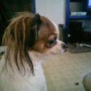 Terry Keene - @KeeneTerry - Twitter