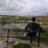 T_J_Weekes's profile image