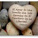 Iris Rebolledo Tenia - @irisvall60 - Twitter