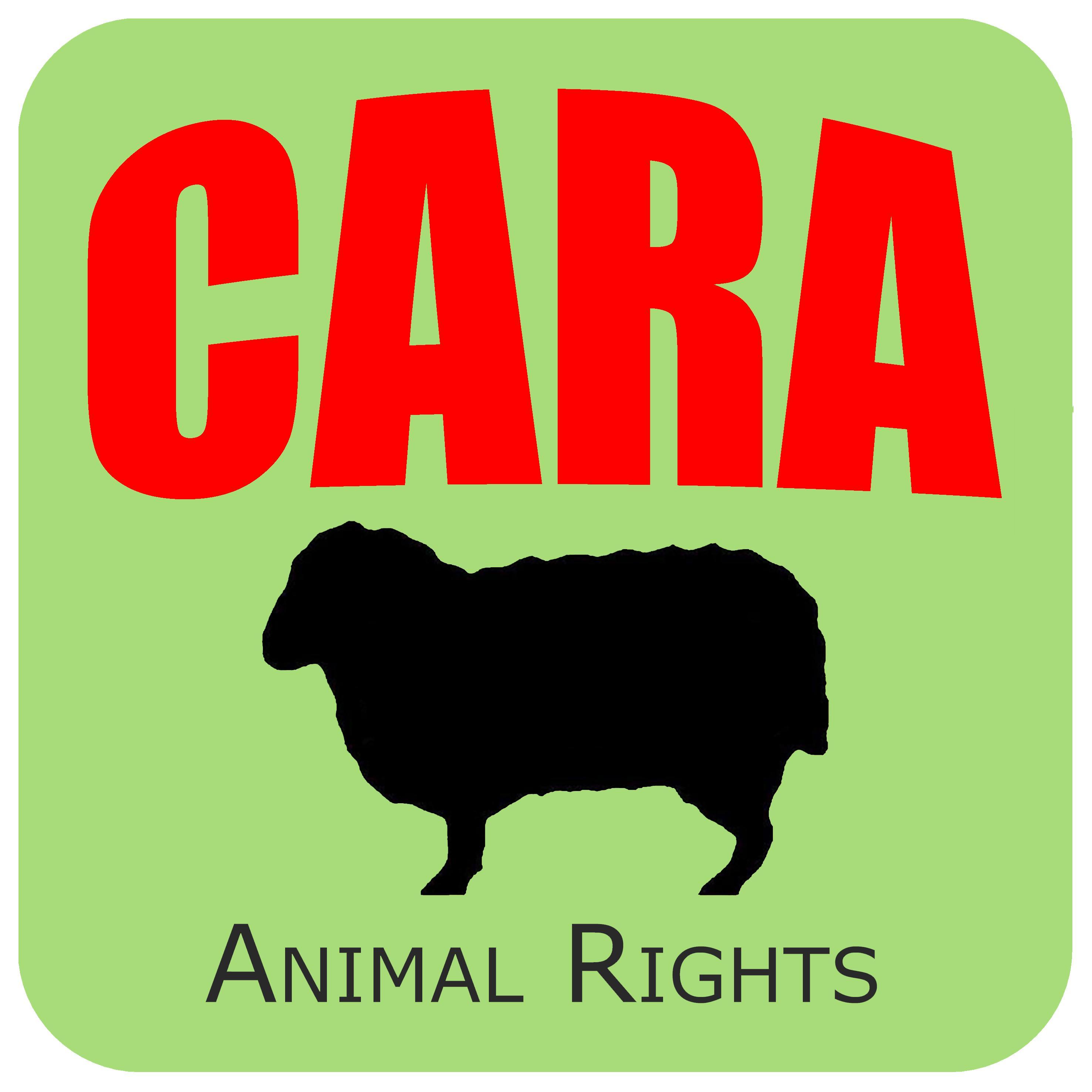 Cronaca, informazione e sensibilizzazione su temi animalisti, con lo sguardo rivolto principalmente al territorio di Arezzo e provincia.