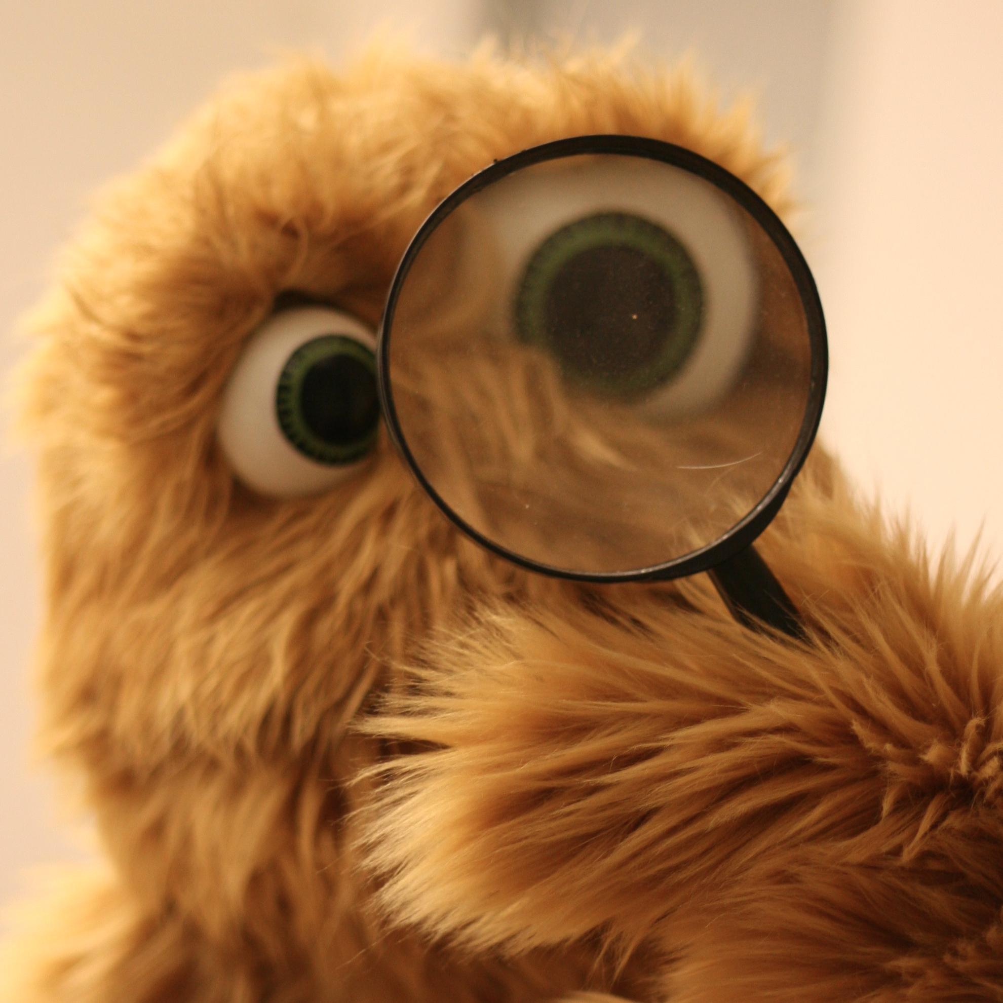 iamloliveira's profile picture.