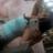 gematubeba's profile image