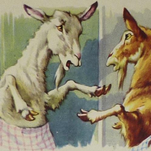 MsNosnevets's profile picture. 