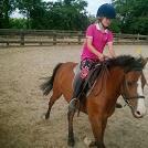 hey im yasemin i own a horse called beno he is a bay new forest pony 15.2hh i love him to bits my sister owns a horse tina she is a bay dutch warmblood 17.2hh