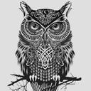 andrew abboud - @andrew_abboud - Twitter