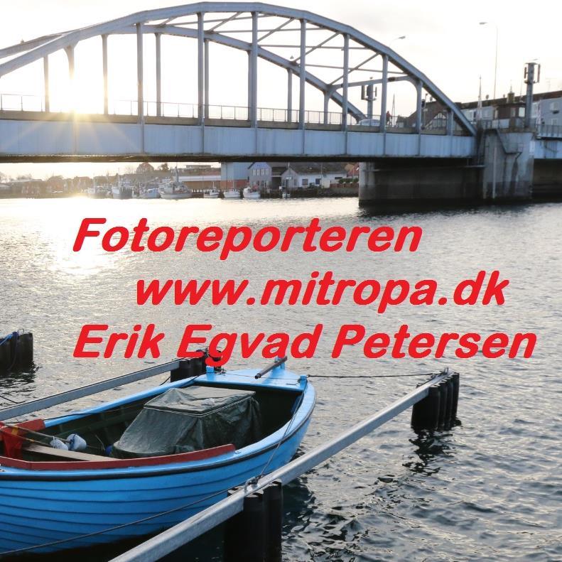 Sønderjylland, pressefoto, video, reportage, outdoor, websider, Erik Egvad Petersen - https://t.co/K4WMNuXZnA - natur@mitropa.dk - Tlf. (+45) 2124 2696 - 🎬🎥