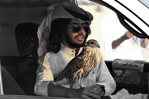 cemuwytyruf's profile picture. 