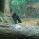 Gene Bloom - @BloomGene - Twitter