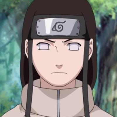 I'm Neji Hyūga. I'm a shinobi from the Village Hidden In The Leaves. I'm depicted as a genius by my own clan. I can be a bit strict, by the way.