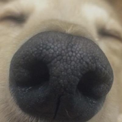 早咲☺︎