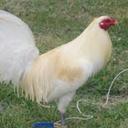 Julian Ceja Ramos - @357a1ab36d49424 - Twitter