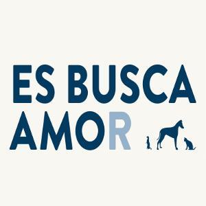 Compte administrat per voluntaris en actiu del CAAC Barcelona per donar a conèixer tot allò relacionat amb el centre i sobretot els animals residents.