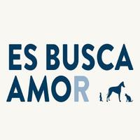 Voluntaris del CAACB (@voluntariscaacb) 's Twitter Profile