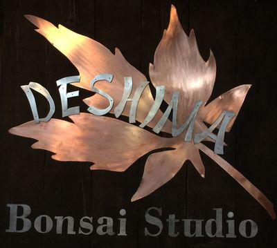 bonsaitj's profile picture. Bonsai and food passion Running my Deshima Bonsai Studio. Lectures, demo's, workshops, courses and materials.