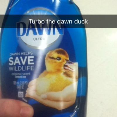 DawnTurbo's profile picture. I like soap