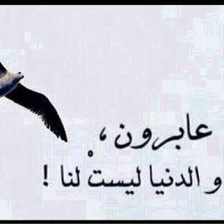الخاص مهمل ومراقب من الله #مااحلل أحد يتابعني من أصحاب الصور الغير لائقة # اجعل وسائل التواصل الاجتماعي شاهده لك لا عليك في يوما تشخص فيه الأبصار# استغفرا
