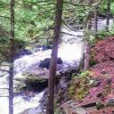 Todd Schubring - @schubring5 - Twitter