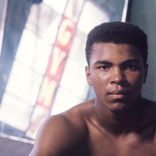 Marky24NBA's profile picture. 