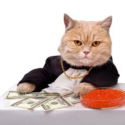 theCATheir's profile picture. yes I am Togami's cat | yes I purrticipate in the stock marcat | deal with it