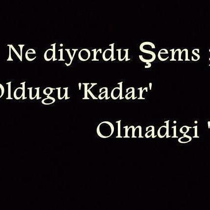 hayat hayat hayat