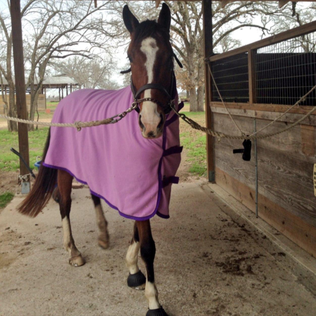 SassyDumbblood's profile picture. 