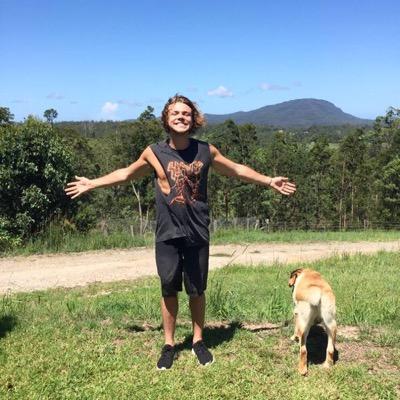 my chances of meeting 5sos are smalla than a bug