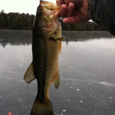 TBBFishing's profile picture. New jon boat fishing club based out of New Hampshire, please follow, like and share http://t.co/8v34PStNyR co-founder: @BOBBYGILBO #SlayinBass
