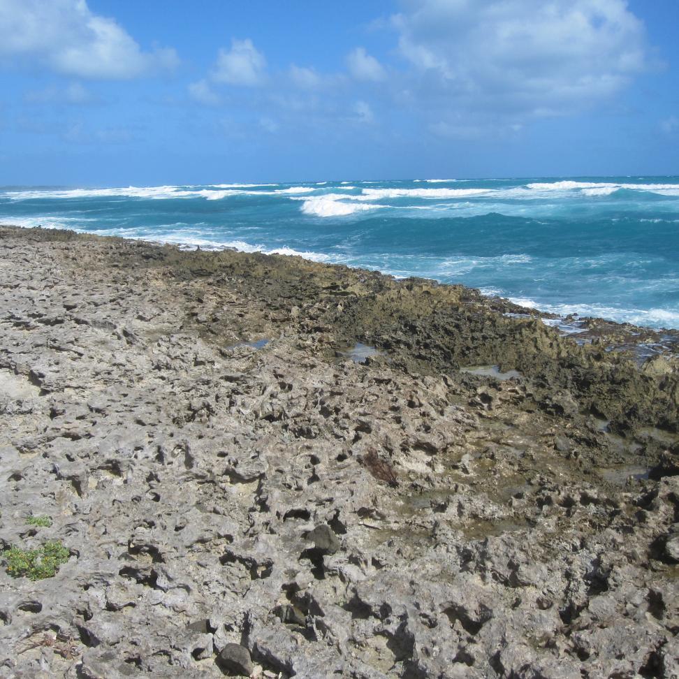 GolemkaLenka's profile picture. 