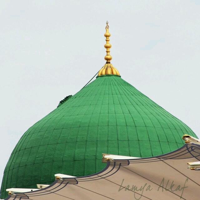 ‏‏‏‏‏‏‏‏ملكة لروحي..أعيش بالحب..أغلق الباب بيني وبين مايعكر صفو روحي..
أحب النغم وأحب صوتي والصوت الحسن..أعشق سماع الناي..سأغني للحياة طربا وحبا وعشقا❤
khadejah