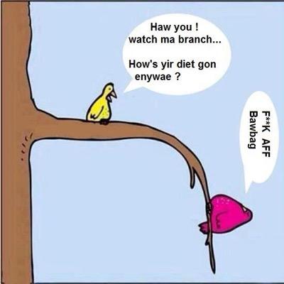 muirhead19721's profile picture. 