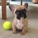 Glenn - @GlennYork7 - Twitter