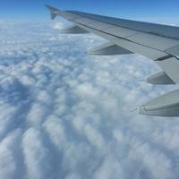 Soline Roy (@so_sroy) 's Twitter Profile Photo