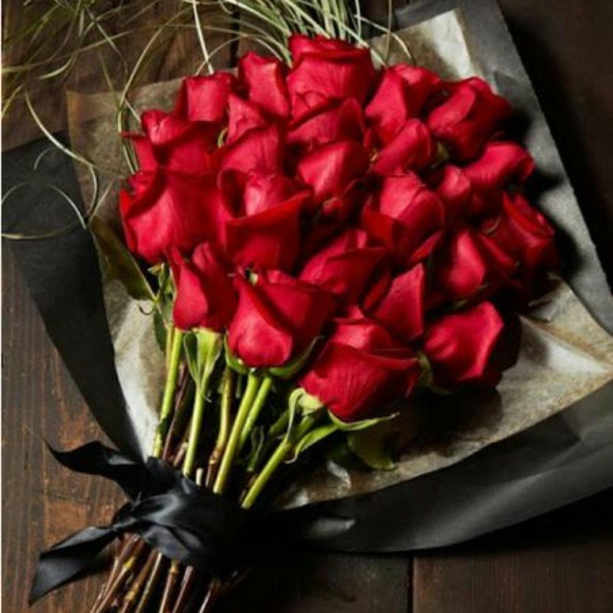 1288_dagfar's profile picture. يآرب توفيقگ .