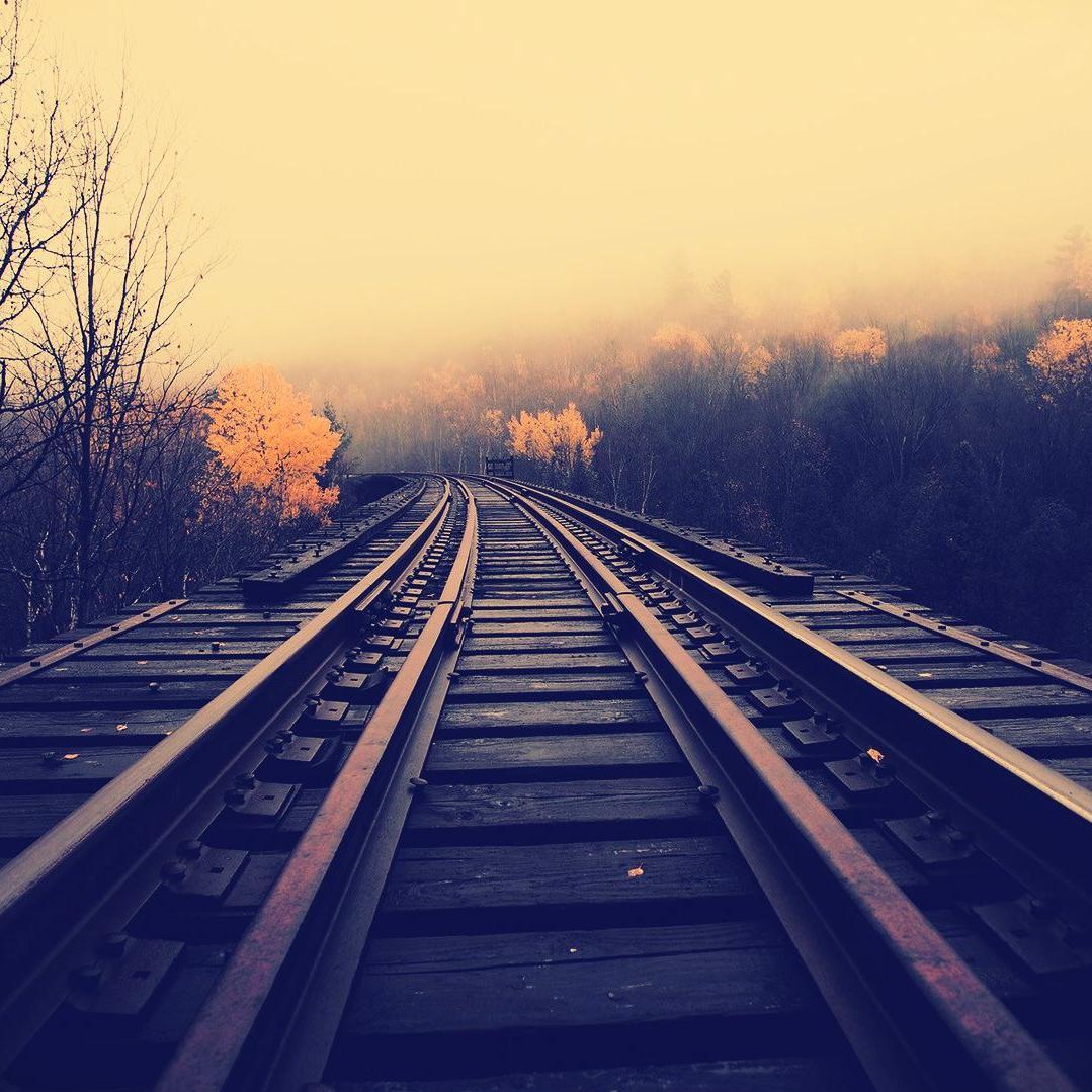 WeeklyGraphics's profile picture. 