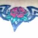 Susan wardle - @Suelwardle - Twitter