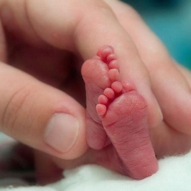 Dedicated to the premise that every pre-born life is inherently precious~sharing resources & inspiration to recruit hearts and minds to the cause of LIFE.